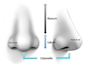 rhinoplastie paris - Médecine Esthétique Paris - Phoenix Esthetic